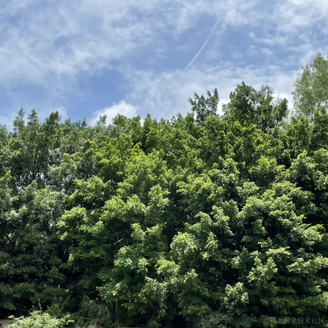 早八打工人于2023-07-03 10:58发布的图片