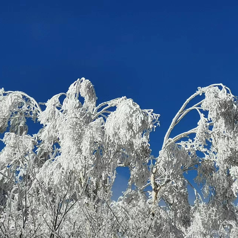 小旧_于2022-11-13 17:27发布的图片