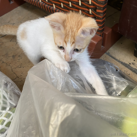 笨蛋小拉于2023-07-05 23:21发布的图片