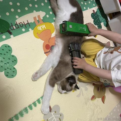 慢慢爬的蜗牛于2023-05-13 21:51发布的图片