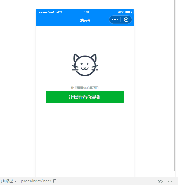 效果展示.gif