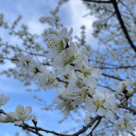 无辜的玫瑰花于2023-03-18 18:05发布的图片