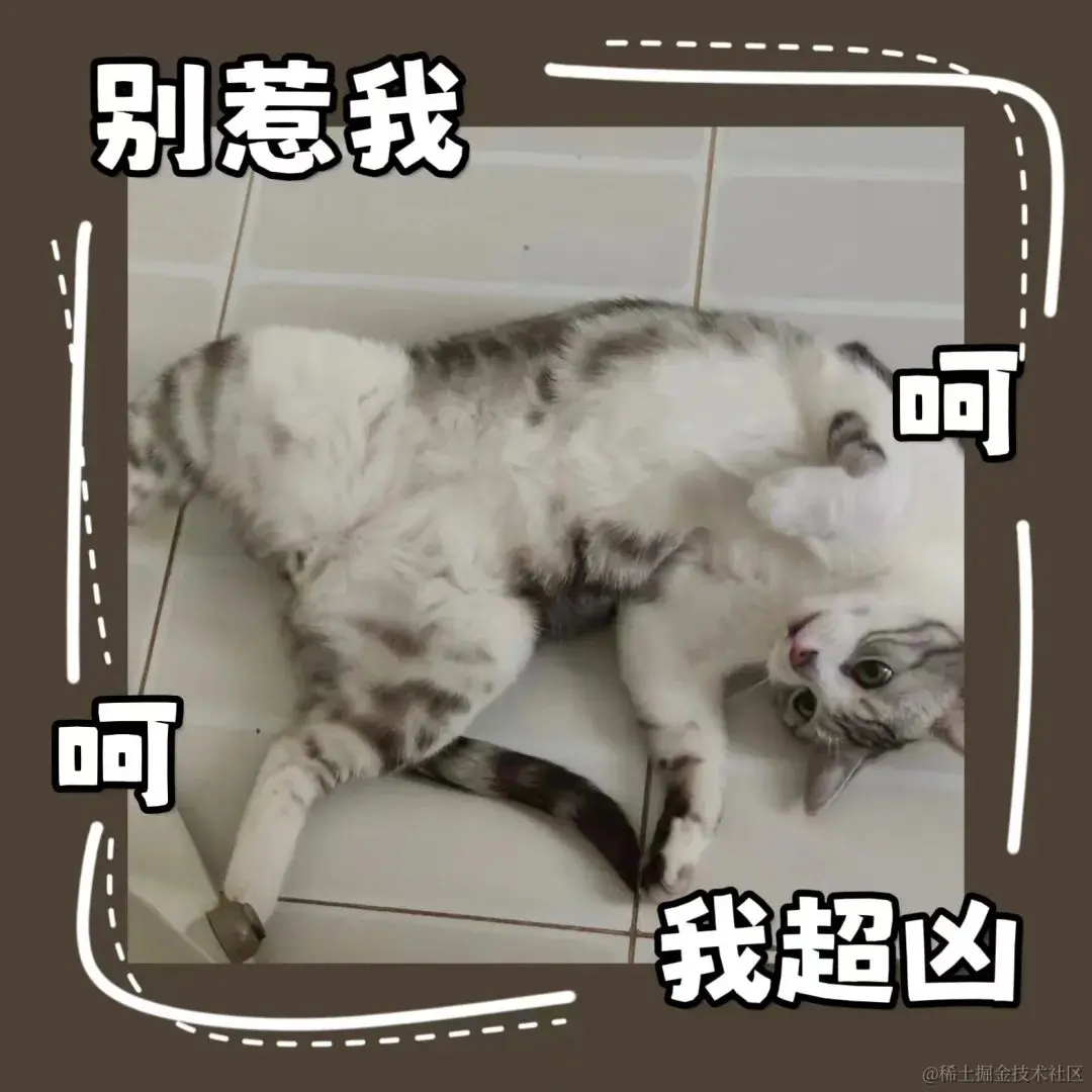 你好鸭 #74｜从文科生到前端程序媛，从大厂到远程，感谢过去的自己。