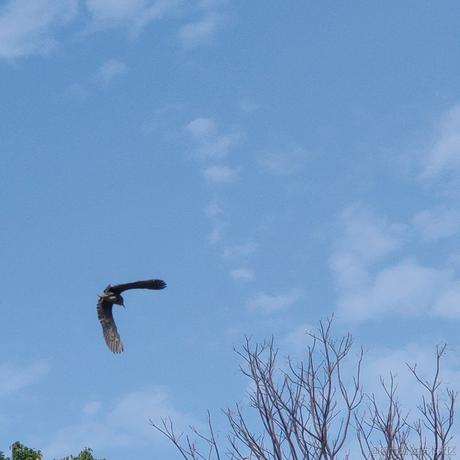 贝拉拉是我的超人于2022-11-17 09:52发布的图片