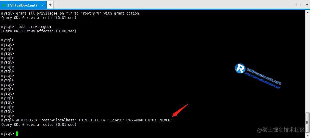 image-20210406160000057