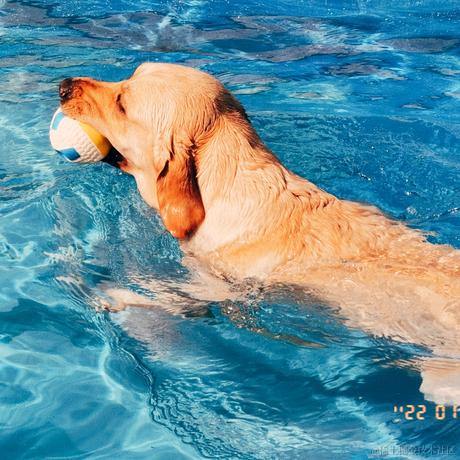 翊君于2022-01-11 09:39发布的图片