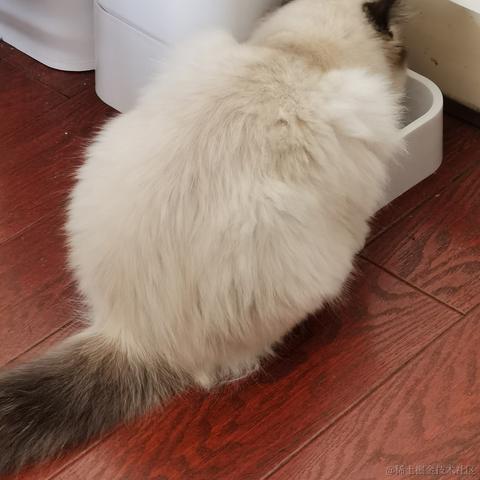 烤肉电线杆于2022-12-13 21:01发布的图片