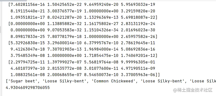 image-20220206142552418