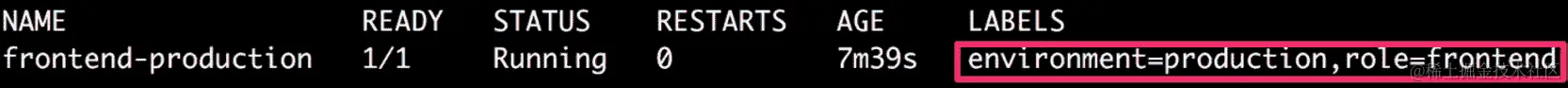 图 6.13：验证前端生产 pod 的标签