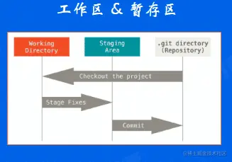 image-20220525194231874