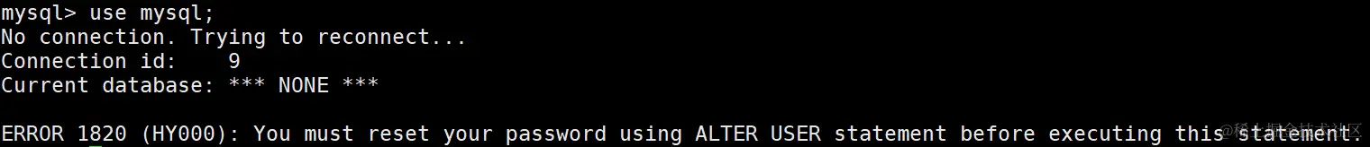 image-20240421235701149