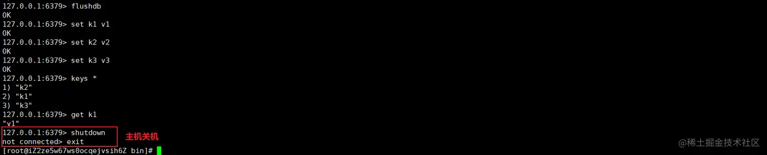 image-20200503210504718