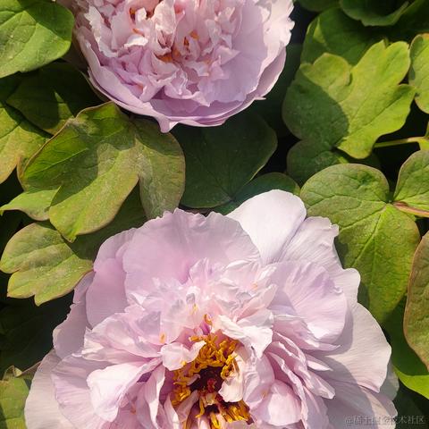 仙童总是玩于2023-04-02 09:22发布的图片