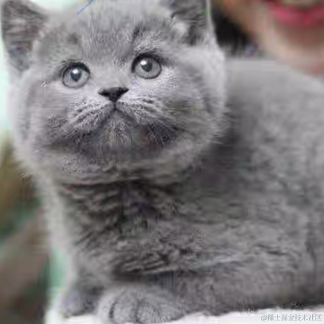 雨下不停_wl于2021-01-20 09:17发布的图片