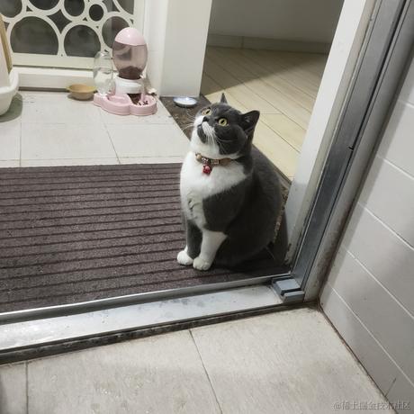 汉森w于2022-11-24 00:48发布的图片