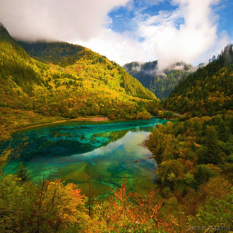 手可摘棉花于2023-01-18 12:30发布的图片