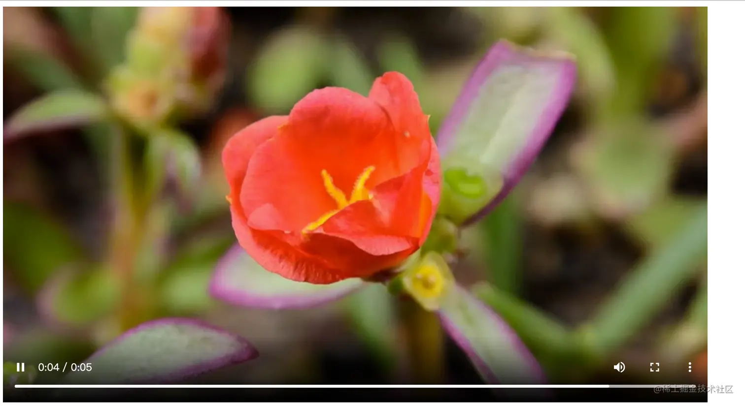 image20220828220754668png