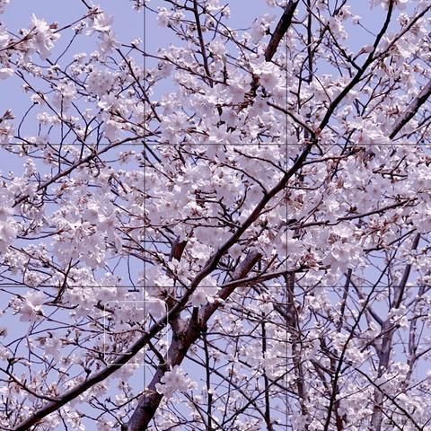 Java工程狮于2022-03-18 11:18发布的图片