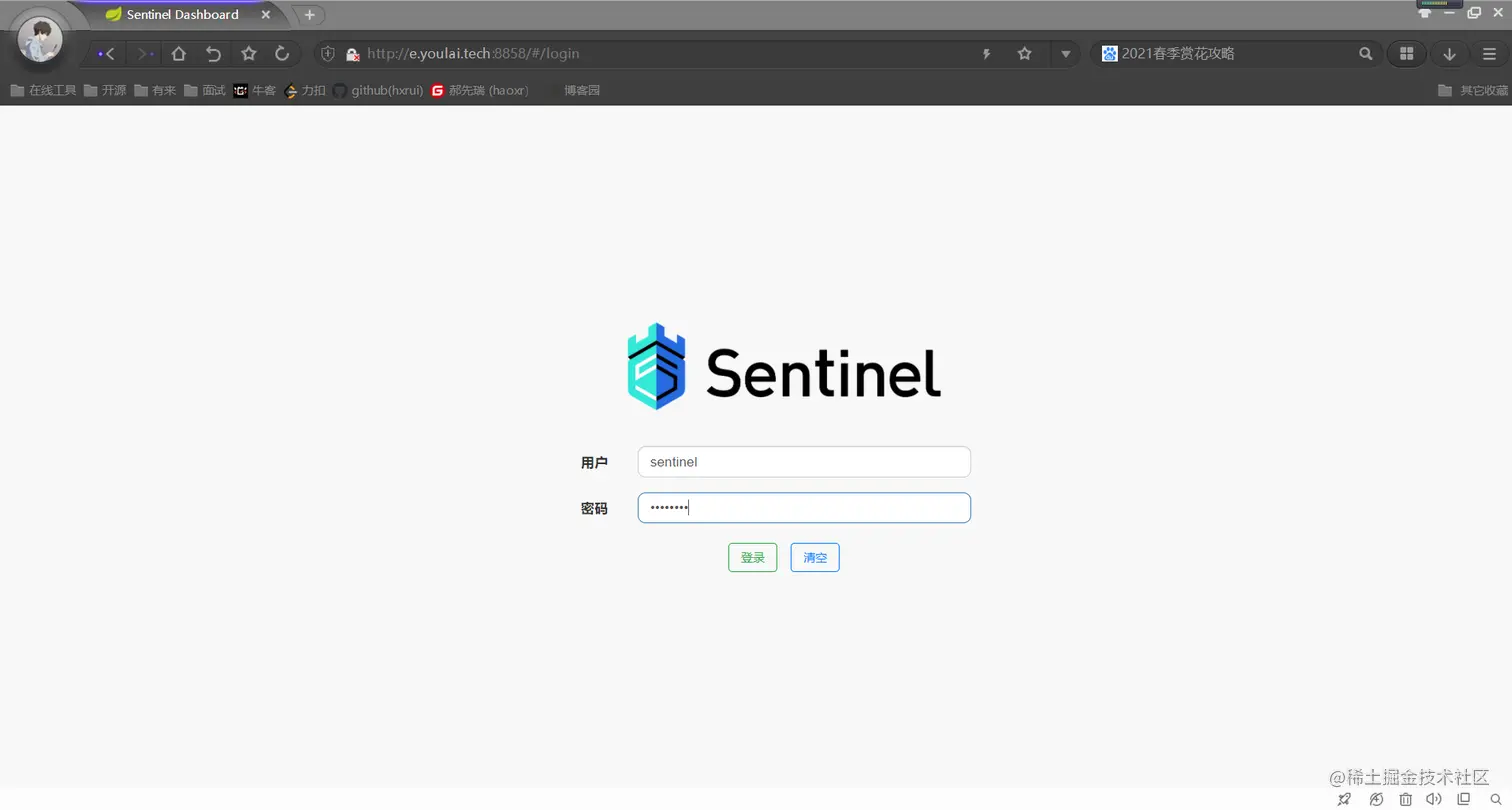 image-20210404135319822