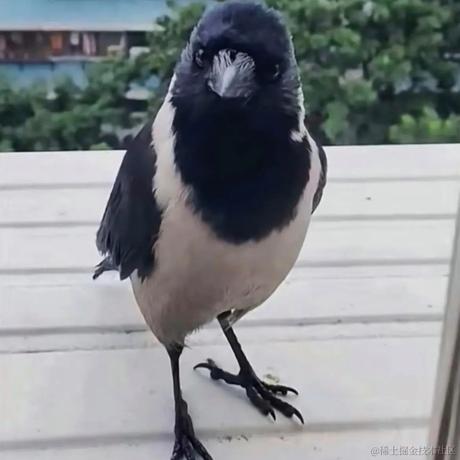 01LittleC于2023-06-09 10:02发布的图片