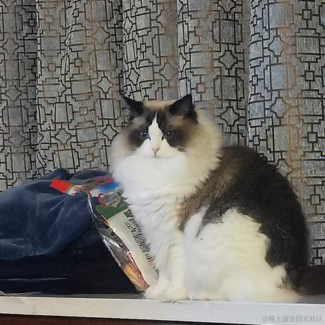 Firmament于2022-12-12 11:19发布的图片