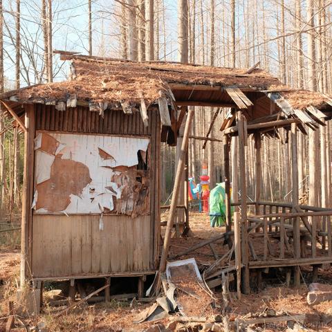 kan5212于2022-12-21 23:25发布的图片