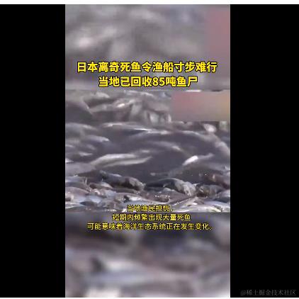 我才是真正的YOYO于2023-12-18 10:06发布的图片