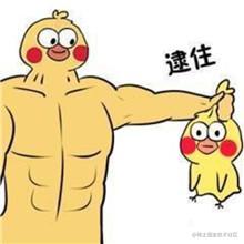 C语言复习