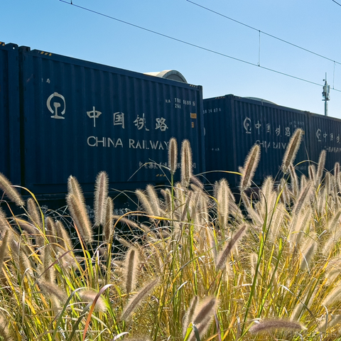 研究员于2023-10-27 14:15发布的图片