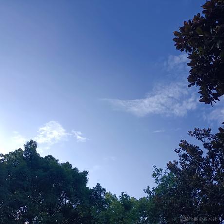 小婷呀于2023-08-03 23:08发布的图片