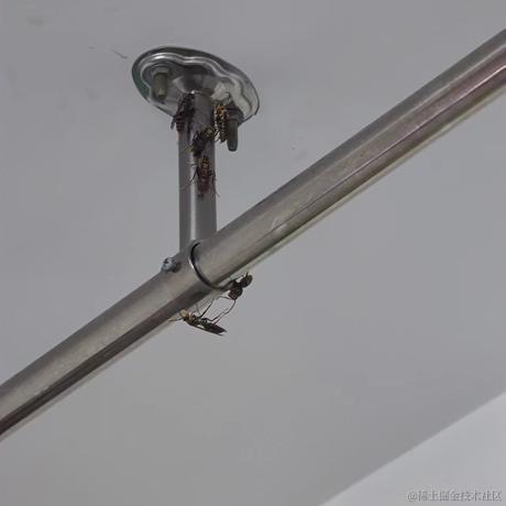 aspray于2023-09-25 10:11发布的图片