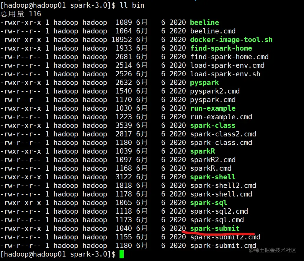 image-20210131190536649