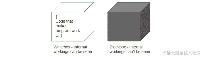 图 4.2：黑盒和白盒可视化