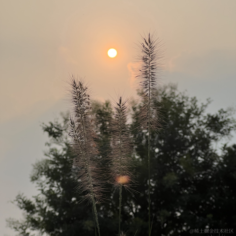 研究员于2023-09-16 18:31发布的图片