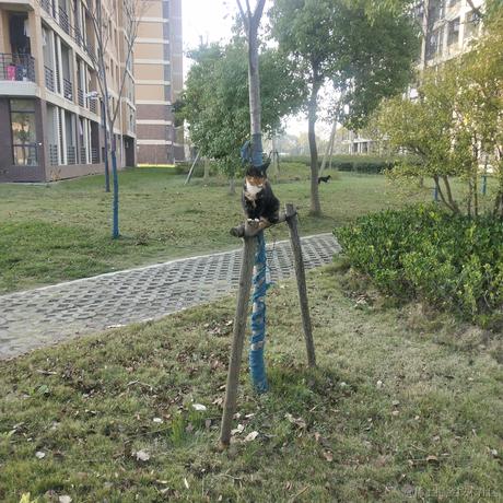 ye_dss于2022-11-22 21:04发布的图片