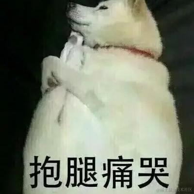 小白xxxxx于2022-12-14 23:08发布的图片