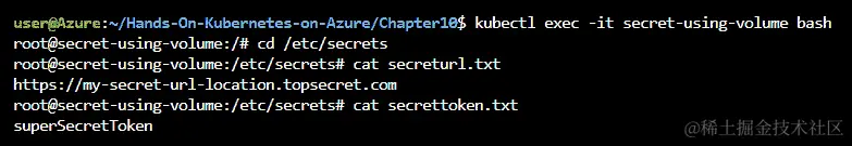 输出显示我们的 Pod 中的秘密可用作文件。