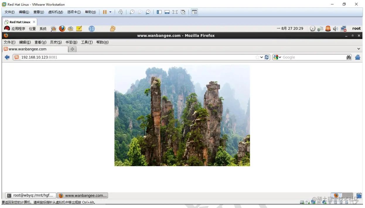 image-20211207093155730