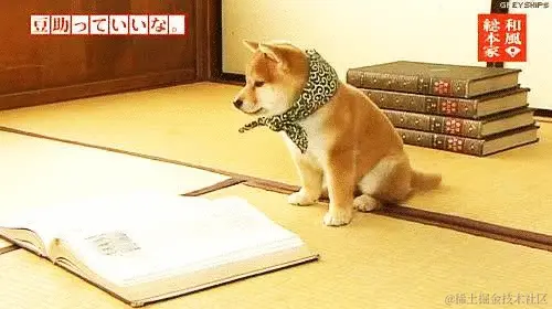 Python入门方法--简单总结+学习方式思考