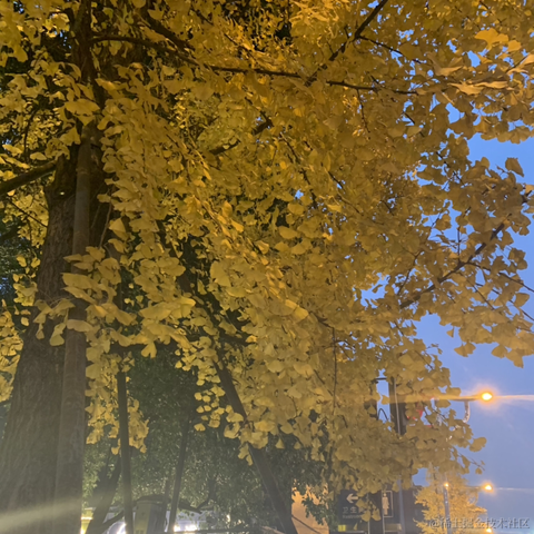 前端咸鱼2于2022-12-26 08:22发布的图片