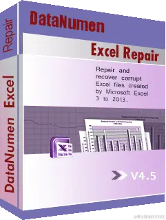 DataNumen Excel Repair 4.5 盒装射击