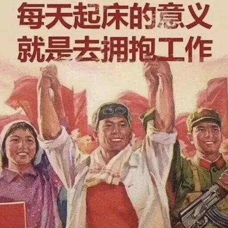 栗鼠p于2022-06-13 09:07发布的图片