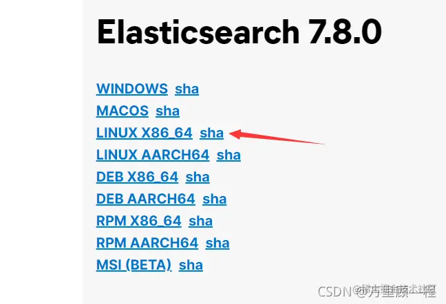 ElasticSearch——ES在Linux环境下的单