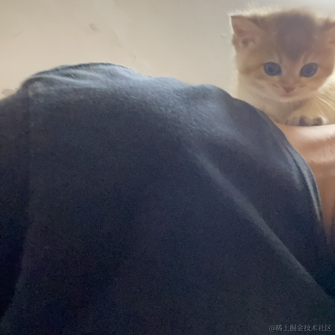 XCaptaino于2022-06-15 17:53发布的图片