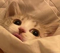 用户7553691486122的个人资料头像