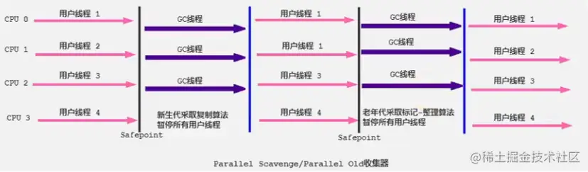 image-20210222213121094