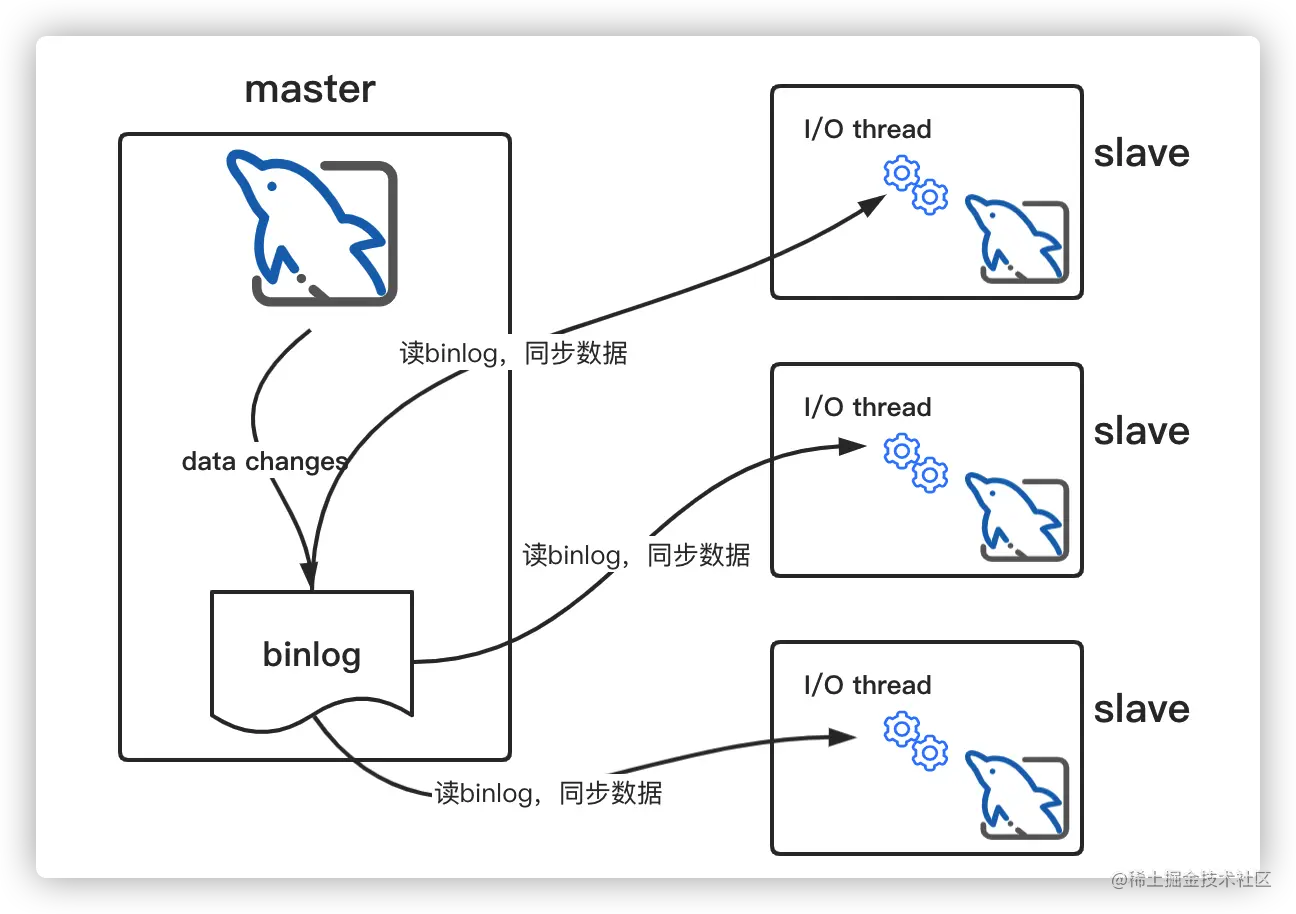 image-20220205111635571