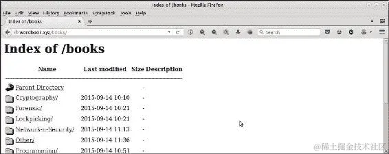 常见的安全漏洞
