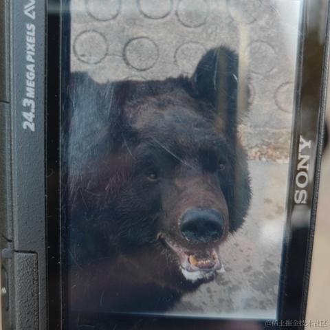 Gollum于2022-11-16 15:39发布的图片