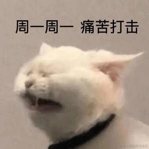 CodingKing于2023-06-05 01:26发布的图片